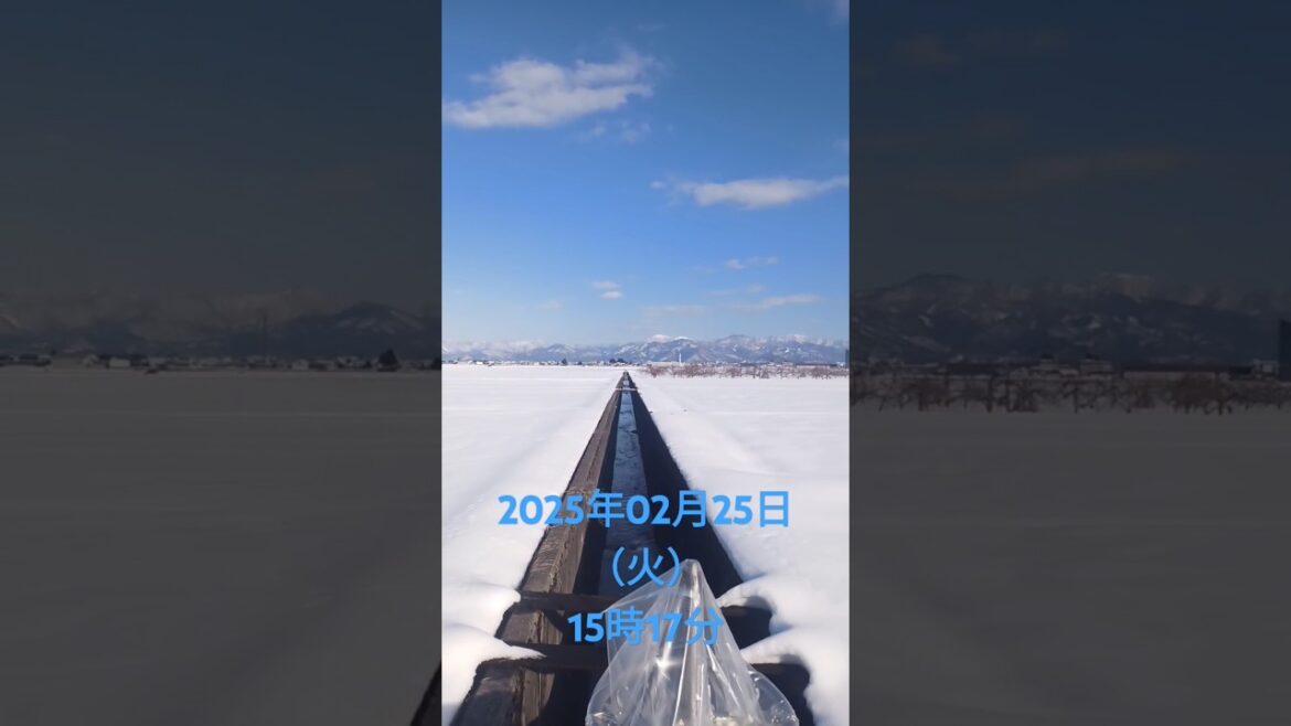 山形県寒河江市散歩にて撮影2025年02月25日（火）15時17分