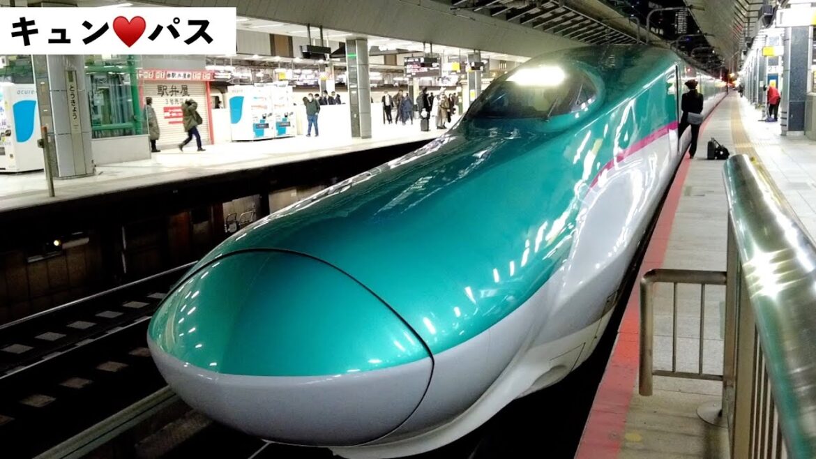キュンパス モデルコース 片道5000円で行く夢のような旅行プラン！ゆったり日帰り松島観光