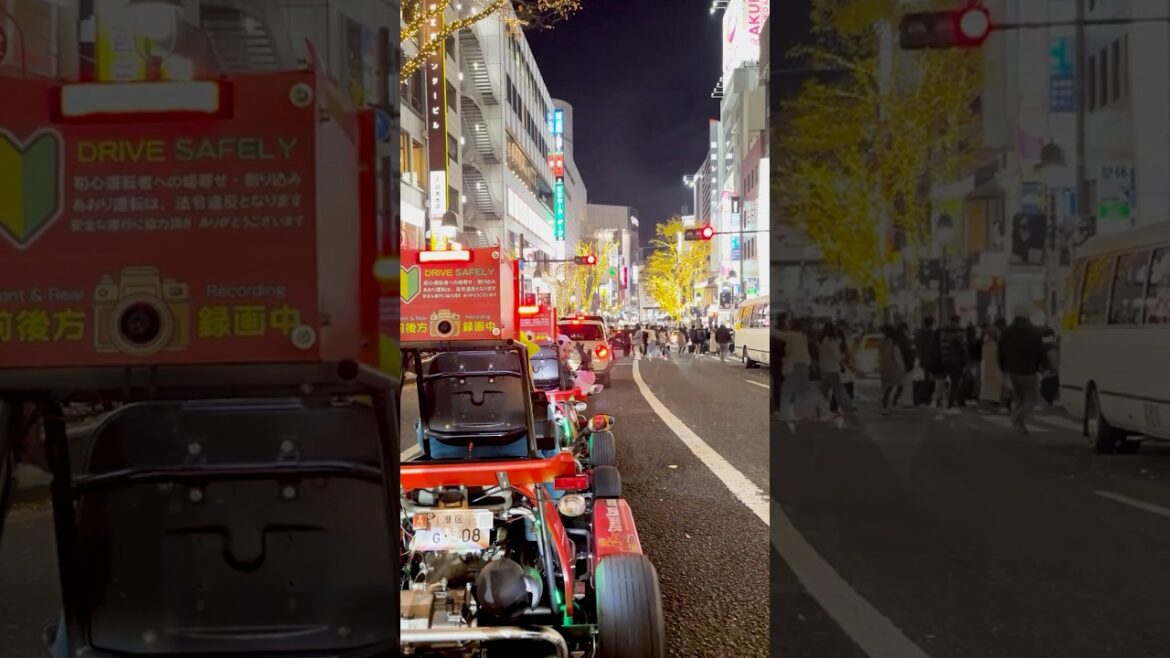 One Night in Tokyo: Where to Eat, Drink and the Most Thrilling Way to Explore