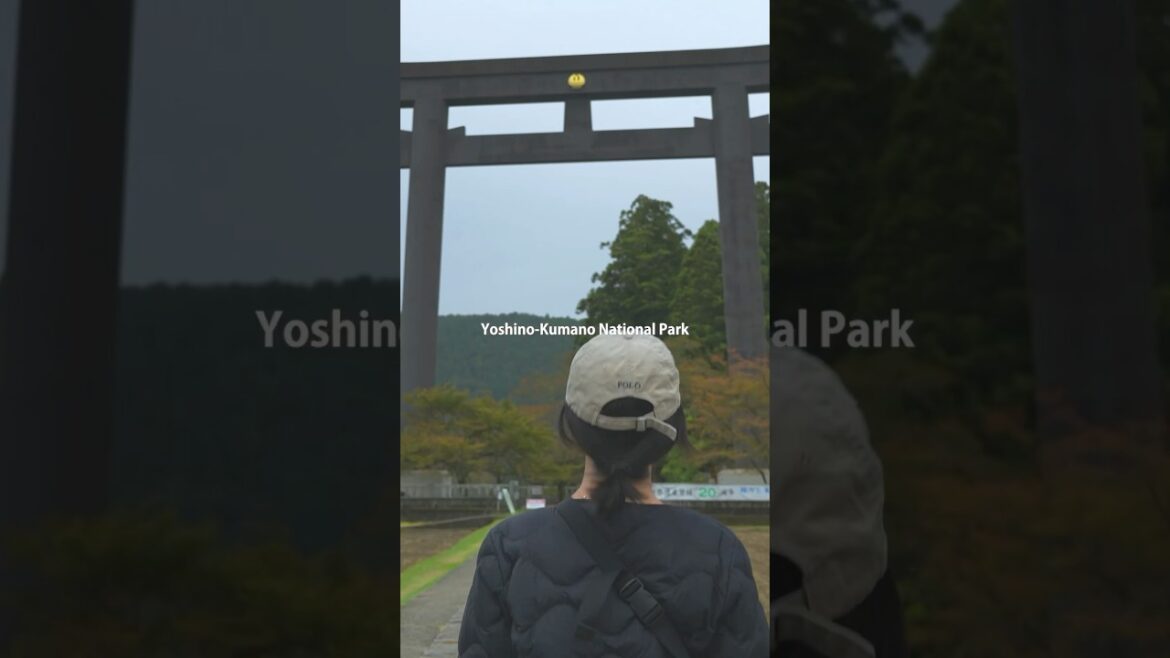 The mysterious mountains, deep valleys, and the southern seas where the Kuroshio Current flows. The mysterious mountains, deep valleys, and the southern seas where the Kuroshio Current flows.