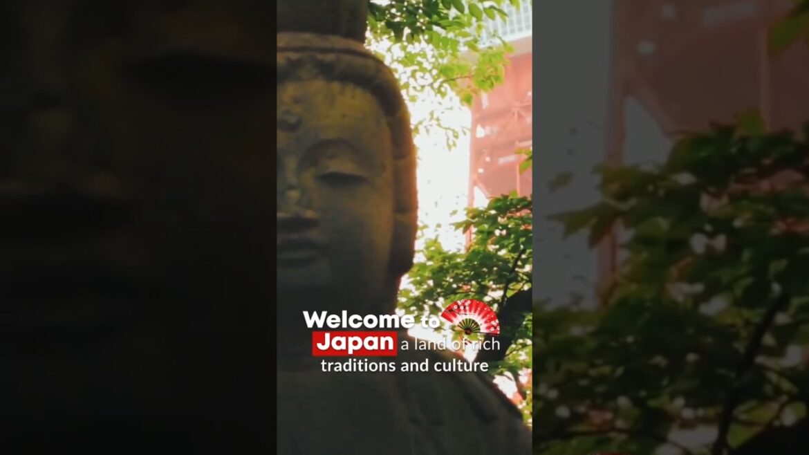 MARKETELS JAPAN – Iconic Cities, Festival & Timeless Wonders MARKETELS JAPAN - Iconic Cities, Festival & Timeless Wonders