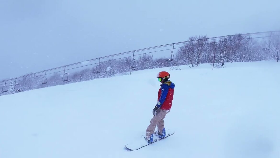 2025 02 Yuzawa: Day trip to Joetsu Kokusai
