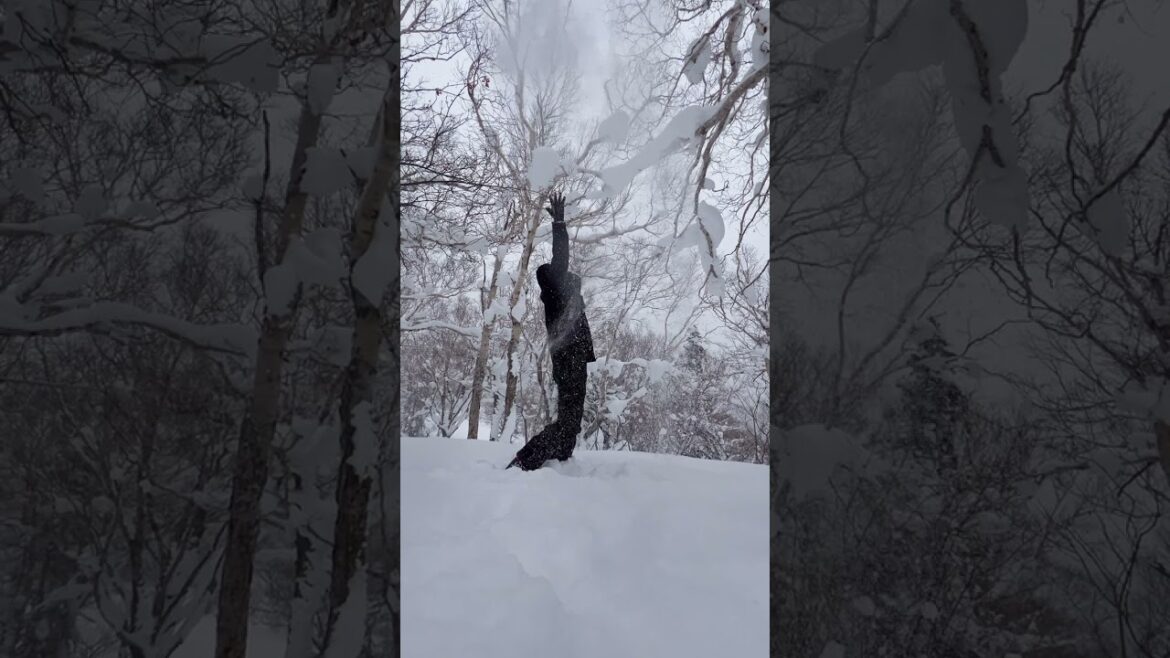 Sapporo Ski Day at Kokusai Resort #skijapan #shorts