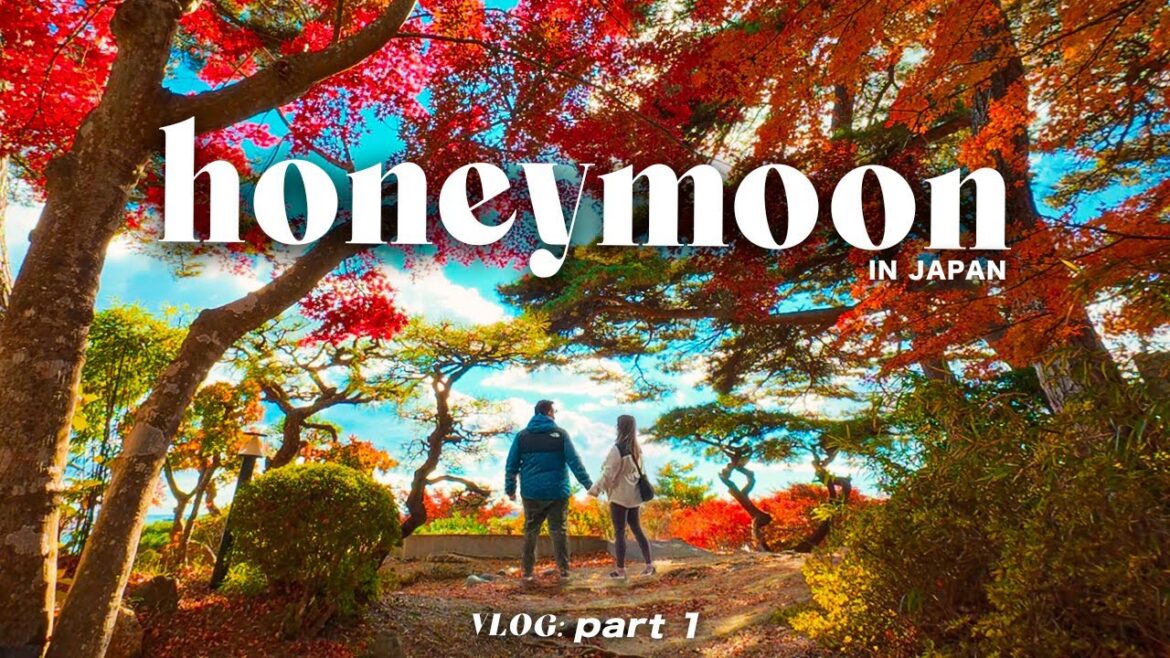 Japan Honeymoon VLOG | pt.1: Nikko, Yamadera, Sendai in November 🍁