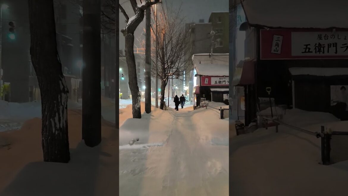 Sapporo at night! #sapporo #japan #hokkaido