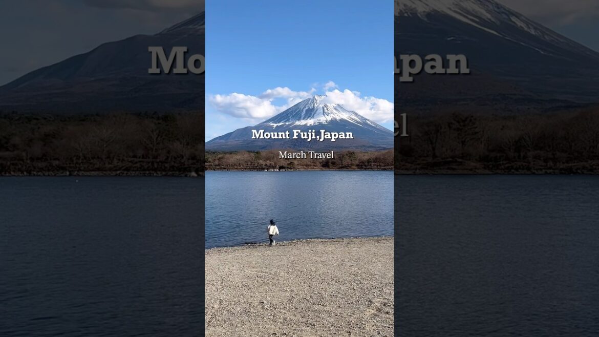 富士山【日帰りドライブ】ヒーリング！#オトナ旅 #shorts #shortvideo #富士山 #mtfuji