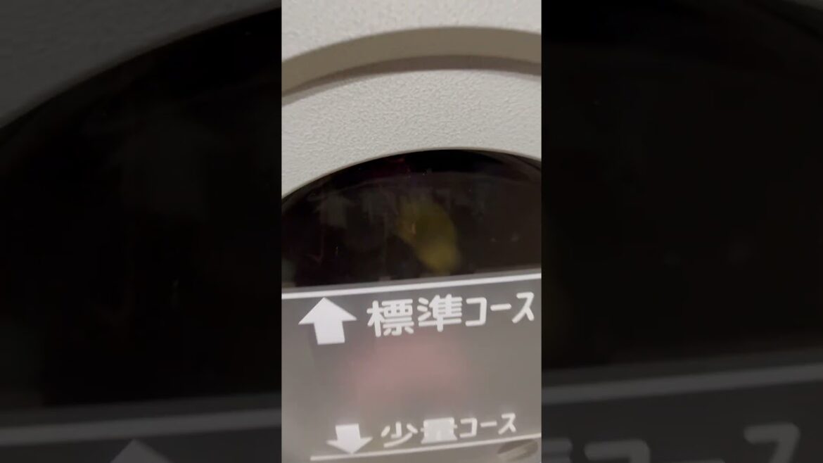 When you travel… #shorts #piecesofcai #travel #laundry #osaka #trip #lessclothes #clothes #nobuy When you travel… #shorts #piecesofcai #travel #laundry #osaka #trip #lessclothes #clothes #nobuy