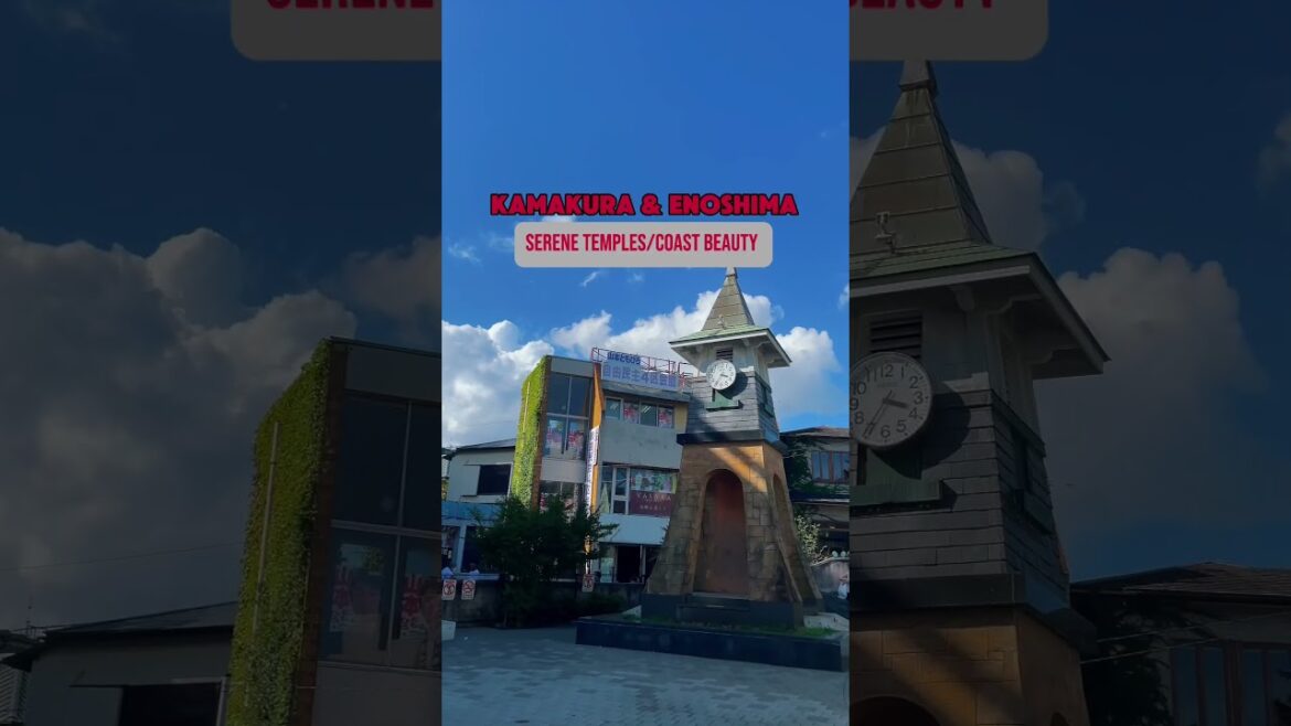 Subscribe for more content about Japan 🇯🇵