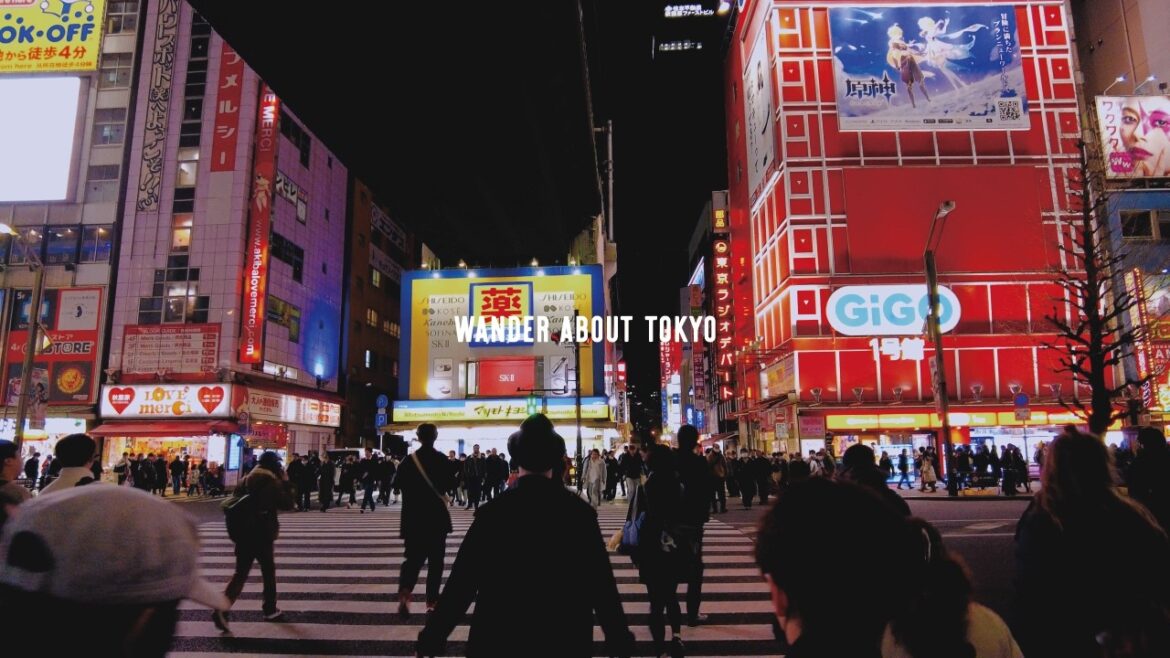 Tokyo Walking Tour | Akihabara at Evening – Binaural Audio 4K Tokyo Walking Tour | Akihabara at Evening - Binaural Audio 4K