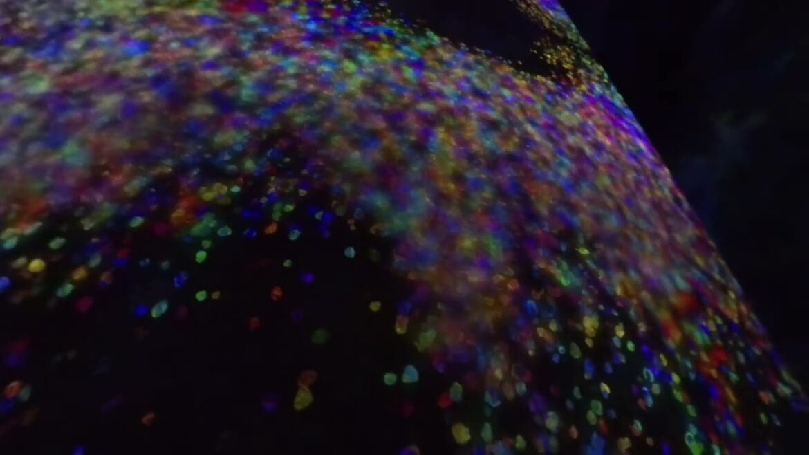 Godspeed: A Tour of Tokyo | Walk thru