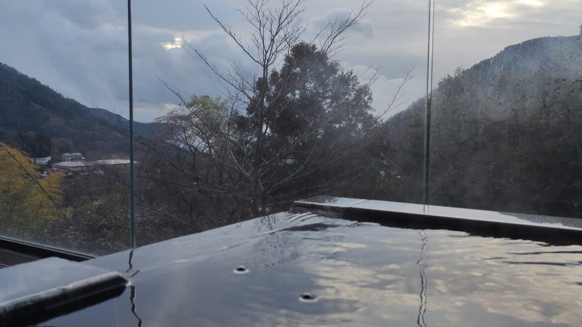 A Night at the Gora Karaku Ryokan in Hakone