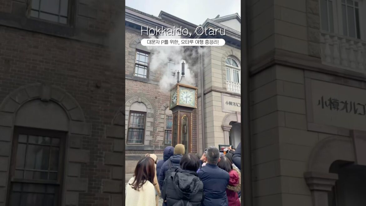[Hokkaido]홋카이도 여행, 오타루 당일치기 혼자 여행 코스 총정리! (📌댓글참고!)