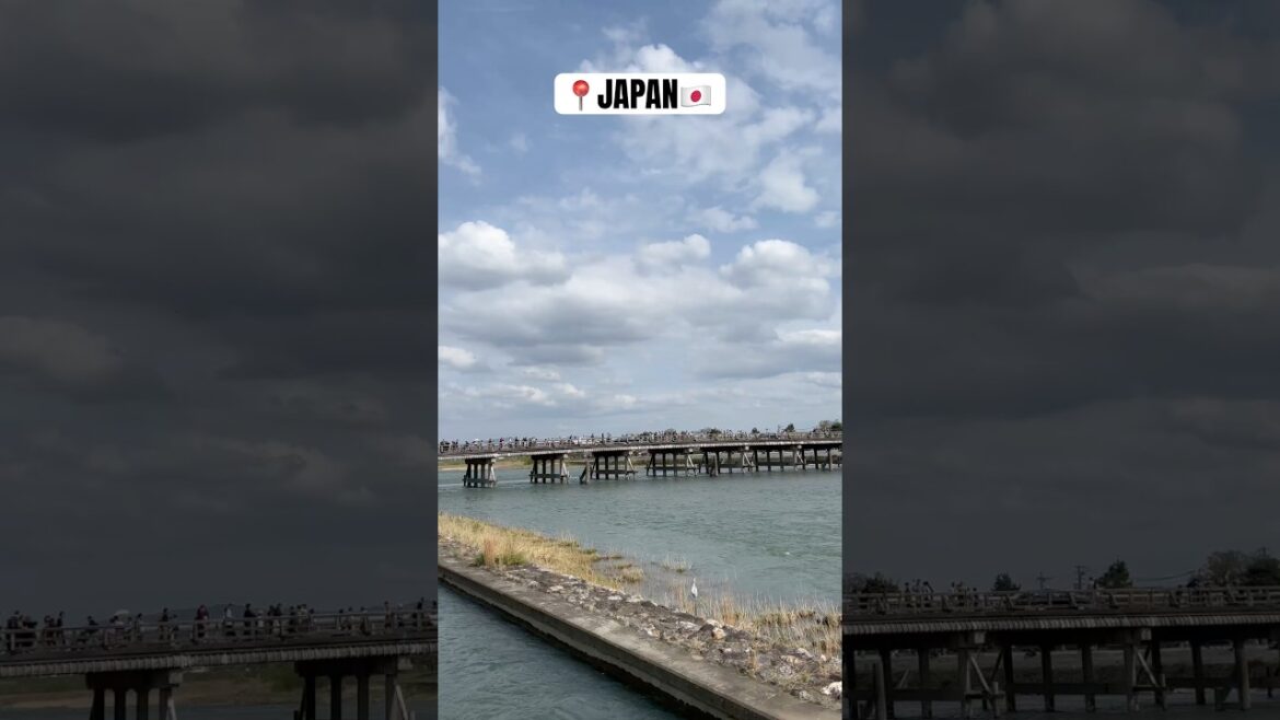 ☁️ #chill #japan #travel #japantraveller #asiantravel #nature #japantraveldiary #japantravel #kyoto ☁️ #chill #japan #travel #japantraveller #asiantravel #nature #japantraveldiary #japantravel #kyoto