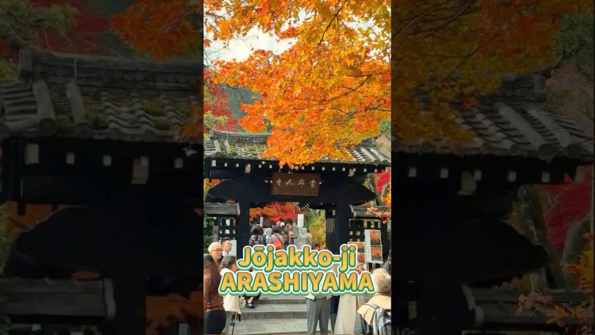 Autumn Nostalgia at Jōjakko-ji, Kyoto, Japan. (Part 2) #travel #japaneseculture#autumn Autumn Nostalgia at Jōjakko-ji, Kyoto, Japan. (Part 2) #travel #japaneseculture#autumn