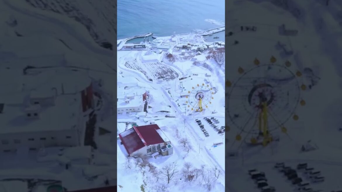 （视频切片）北海道｜旭川｜小樽｜登别-第一次寻找最纯粹的白和美食#北海道 #hokkaido #小樽 #otaru