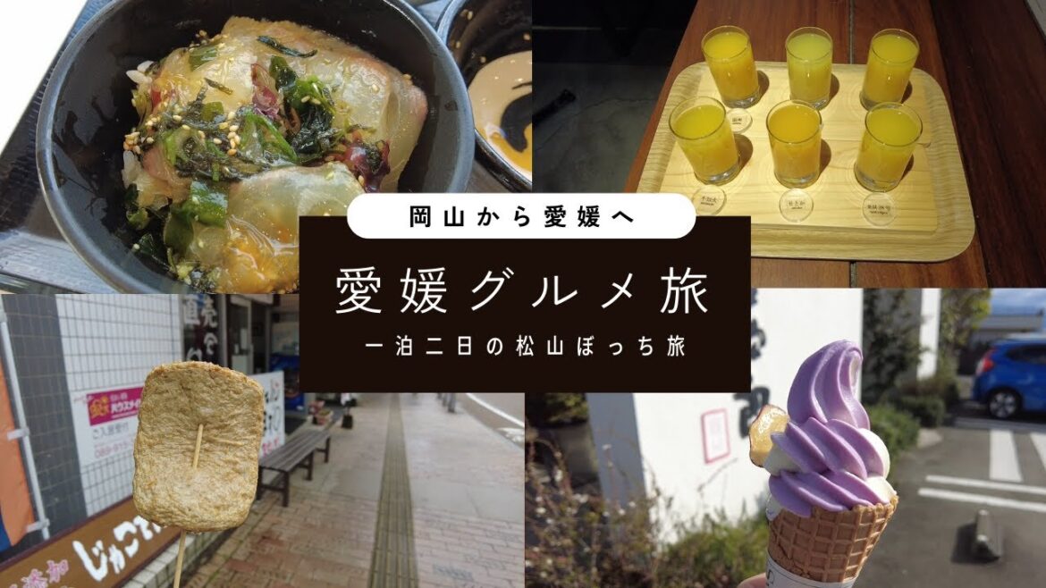 岡山から愛媛の松山へ一泊二日のぼっちグルメドライブ旅【鯛めし みかんジュース じゃこてん 芋屋金次郎】