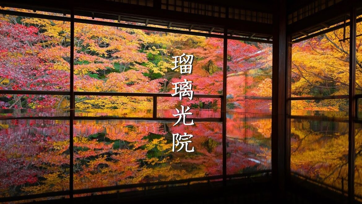 秋深まる 京都 洛北が美しい｜瑠璃光院｜蓮華寺｜叡山電車｜八瀬もみじの小径