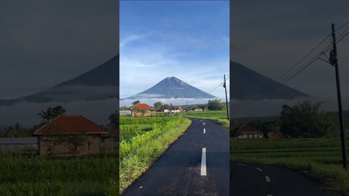 “πΈβ¨ Best Season to Visit Mount Fuji: A Magical Journey in Japan! π»π―π΅”#MountFuji #JapanTravel "πΈβ¨ Best Season to Visit Mount Fuji: A Magical Journey in Japan! π»π―π΅"#MountFuji #JapanTravel