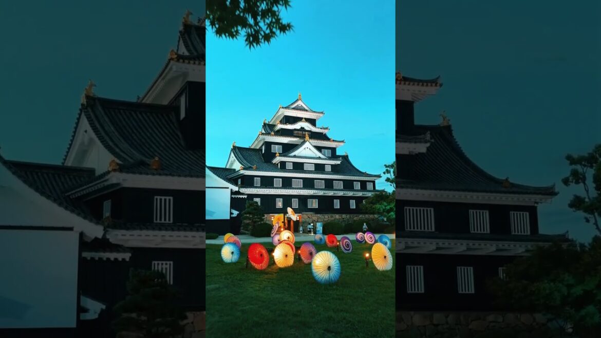 Okayama Castle / 岡山城 #travel #okayama #okayamacity #岡山 #岡山城 #japan #japantravel