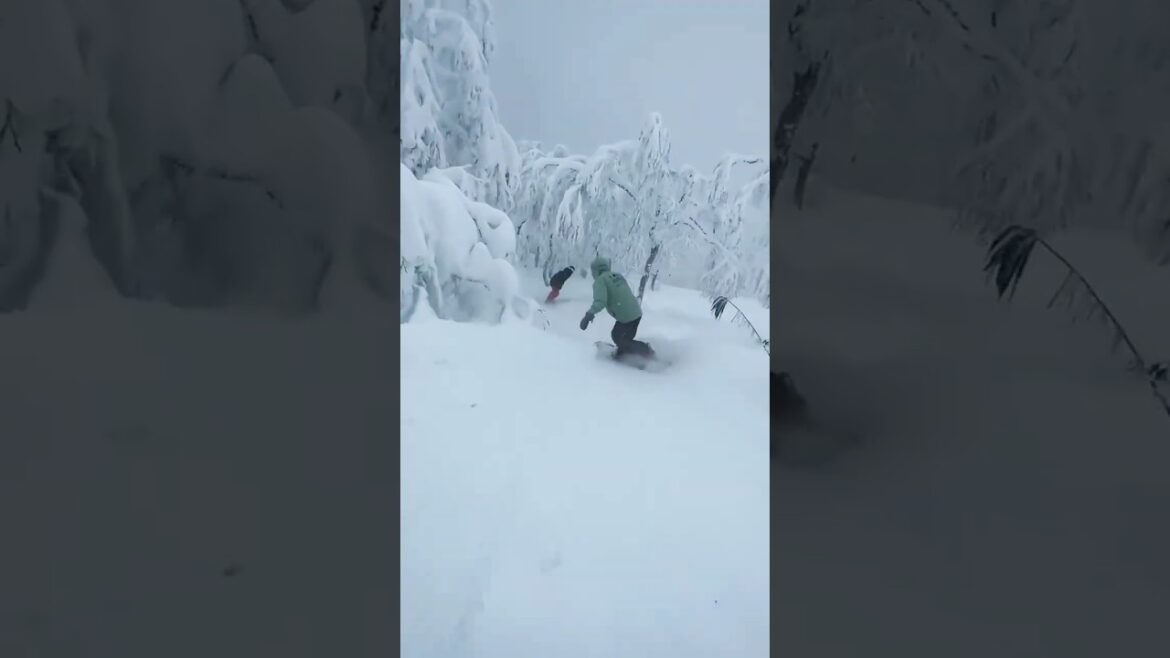 POV: Ski on the wildest slope in #hokkaido #japan
