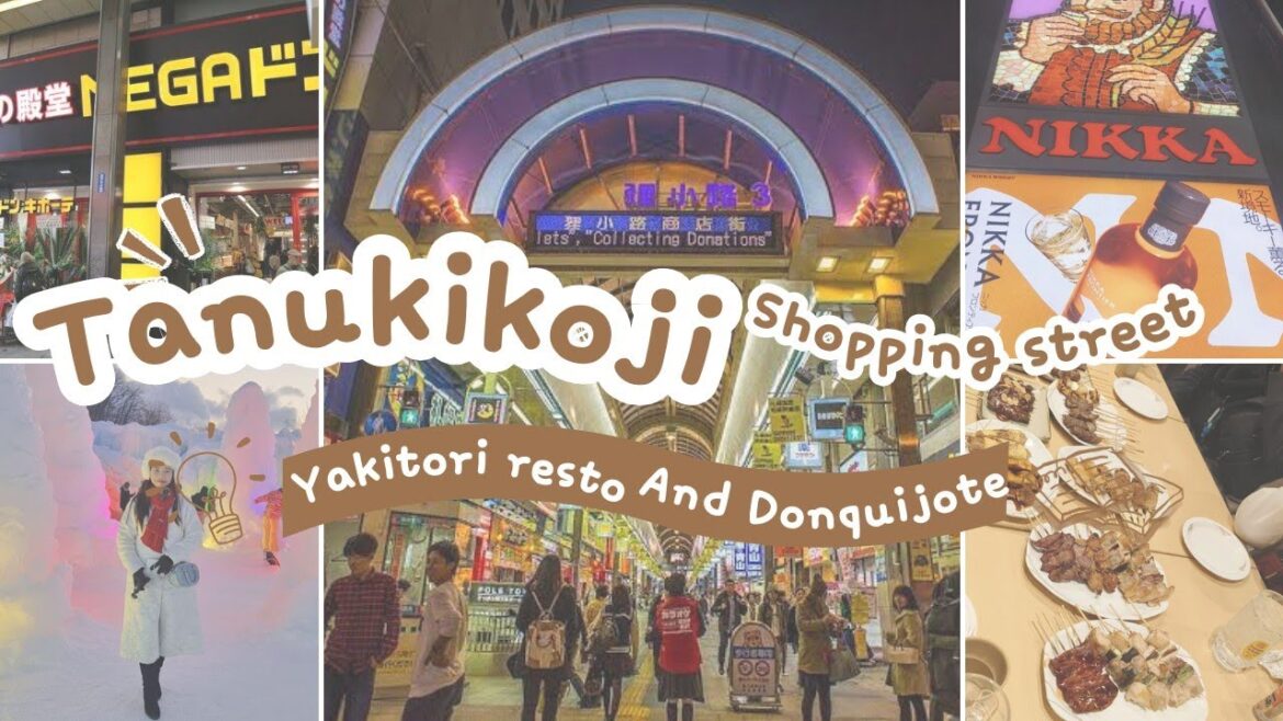 Tanukikoji Shopping Street - Mega Don Quijote & Yakitori Resto