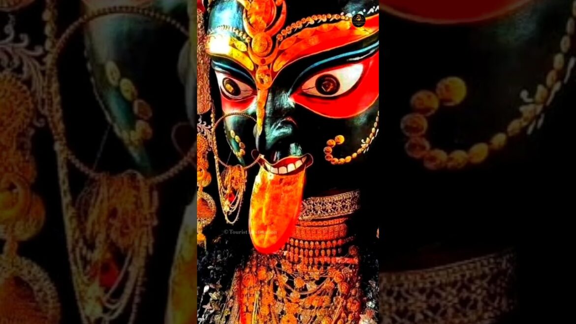 নৈহাটি বড়মা কালী পূজা | Naihati Boro Maa Kali Puja 2024 | Naihati Boro Maa Mandir Kali Puja Timing নৈহাটি বড়মা কালী পূজা | Naihati Boro Maa Kali Puja 2024 | Naihati Boro Maa Mandir Kali Puja Timing