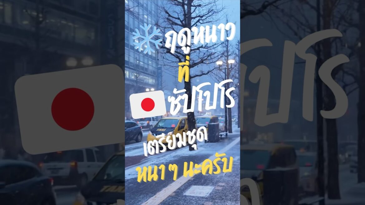 ❄️🇯🇵 ช่วงหน้าหนาว Sapporo เตรียมชุดหนาๆนะครับ #sapporo #เที่ยวซัปโปโร  #hokkaido  #เที่ยวฮอกไกโด