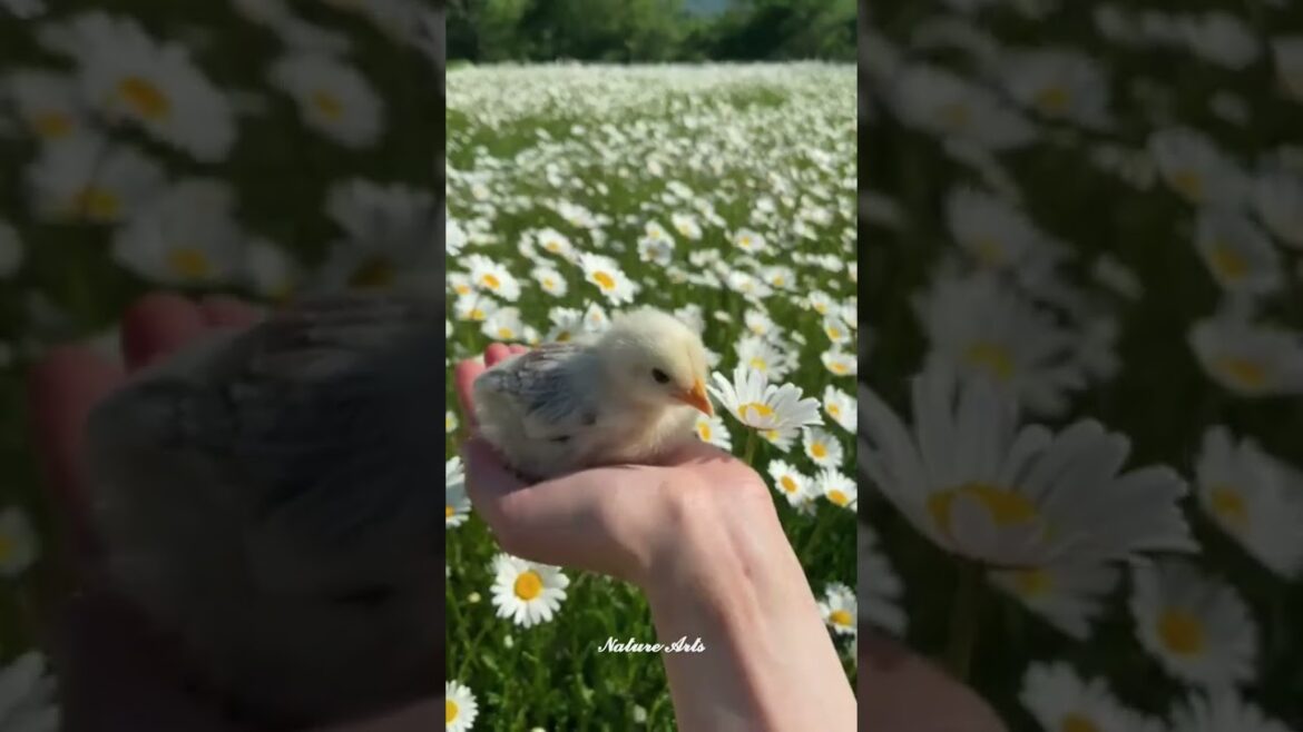 beautiful places on earth #nature #travel #beautifulplace #trending #beautiful #shorts#ytshorts#love beautiful places on earth #nature #travel #beautifulplace #trending #beautiful #shorts#ytshorts#love