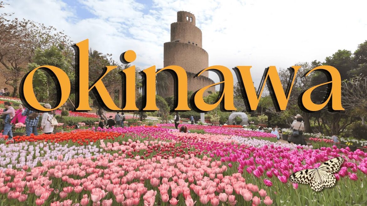 OKINAWA ποΈ TOP TRAVEL Spots in Okinawa, Japan OKINAWA ποΈ TOP TRAVEL Spots in Okinawa, Japan