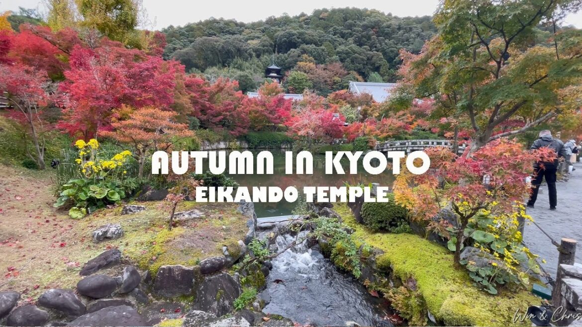 Autumn in KYOTO, Eikando Temple. Karawamachi food tour Autumn in KYOTO, Eikando Temple. Karawamachi food tour