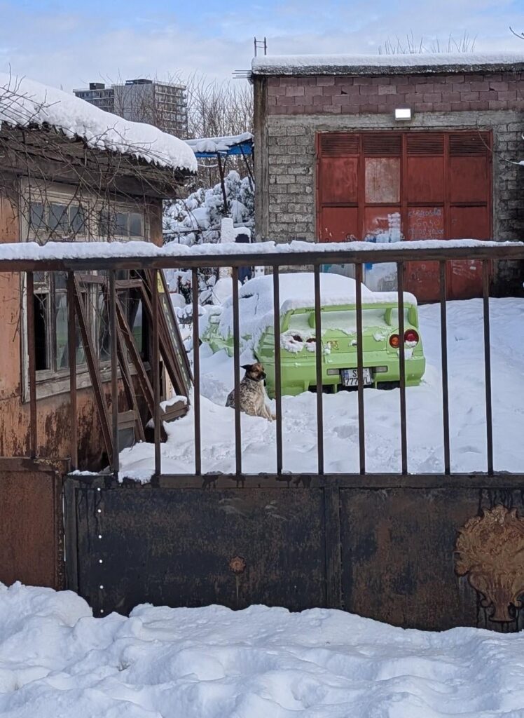 Waiting for the spring 🌼