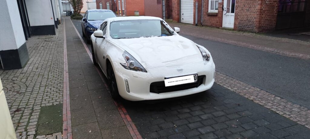 Snowy Fairlady