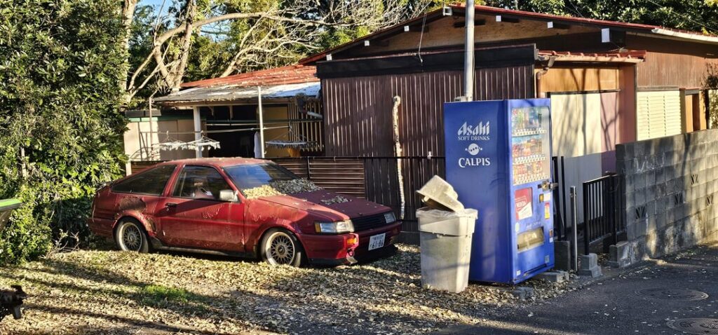 Neighboorhood walk finds