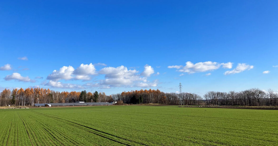 NEC tackles large-scale farmlands in Hokkaido: NEC Stories