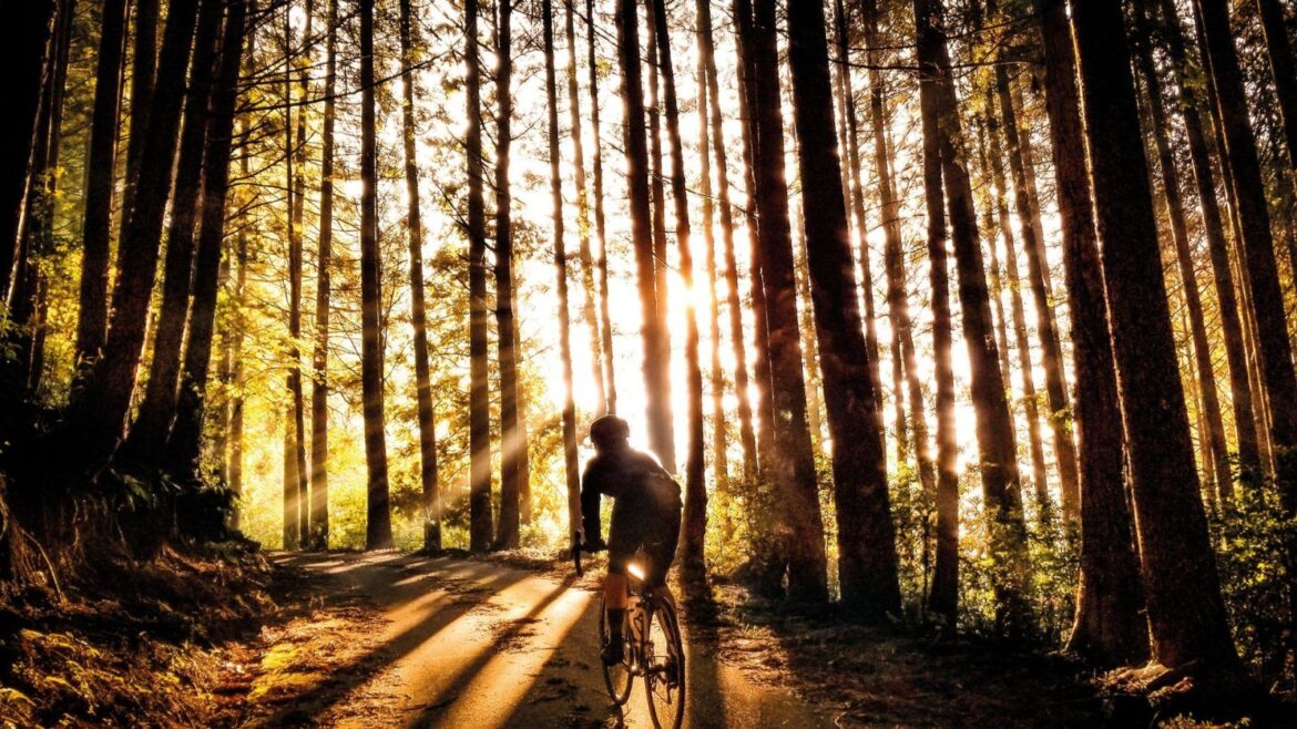 Pedalling Through Kyushu’s Scenic Sights Pedalling Through Kyushu’s Scenic Sights