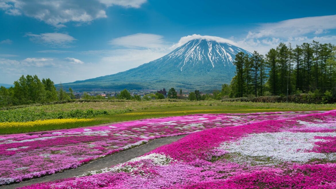 The 19 Best Things to Do in Hokkaido, Japan