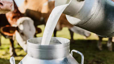 What is Hokkaido milk, its benefits, and why is it being loved globally