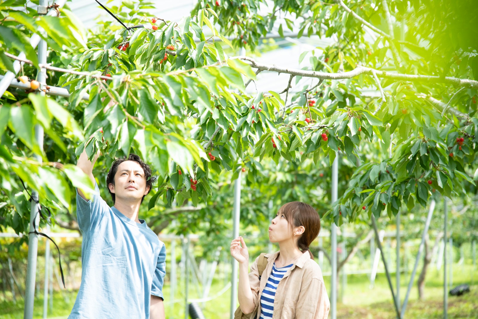 Image may contain Yau Waiching Person Teen Food Fruit Plant Produce and Vegetation