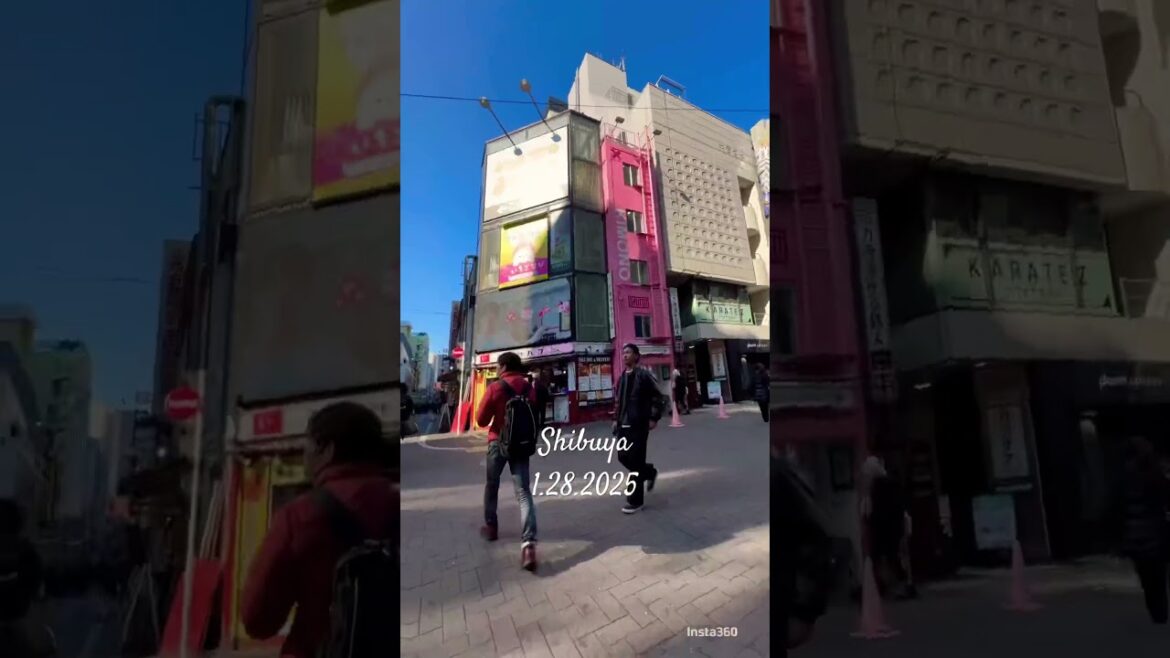 Shibuya 1.28.2025 #shibuyawalk #japantravel #travel