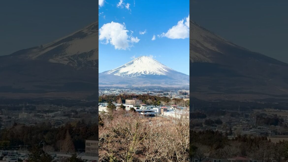 Mount Fuji from Gotemba Premium Outlet #mountfujiview #tokyo #japan #japanlife #japantravel #views Mount Fuji from Gotemba Premium Outlet #mountfujiview #tokyo #japan #japanlife #japantravel #views