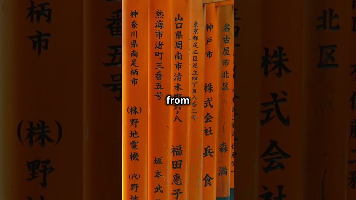 Anime Comes to Life: Exploring Fushimi Inari Shrine! πΈβ¨ #animeinreallife #travel Anime Comes to Life: Exploring Fushimi Inari Shrine! πΈβ¨ #animeinreallife #travel