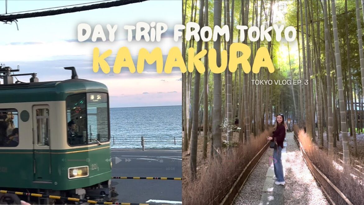 Day trip from Tokyo to KAMAKURA + ENOSHIMA⊹ tokyo japan vlog ep. 3