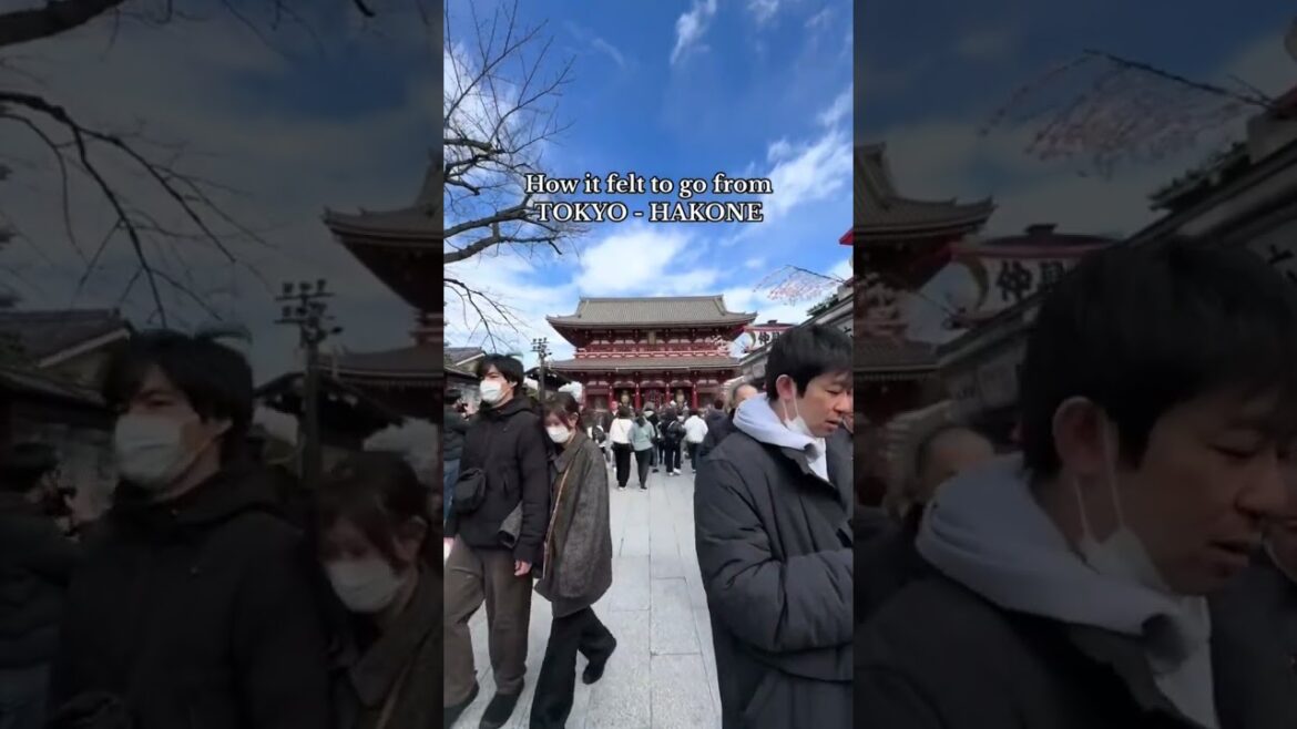 Tokyo - Hakone #japan #travel #japantraveller #asiantravel #japantraveldiary #japantravel #filmcam