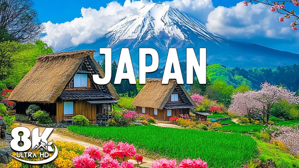Discover Japan 🌕 The Best Places to Visit in Japan 🌿 Travel Video 8K