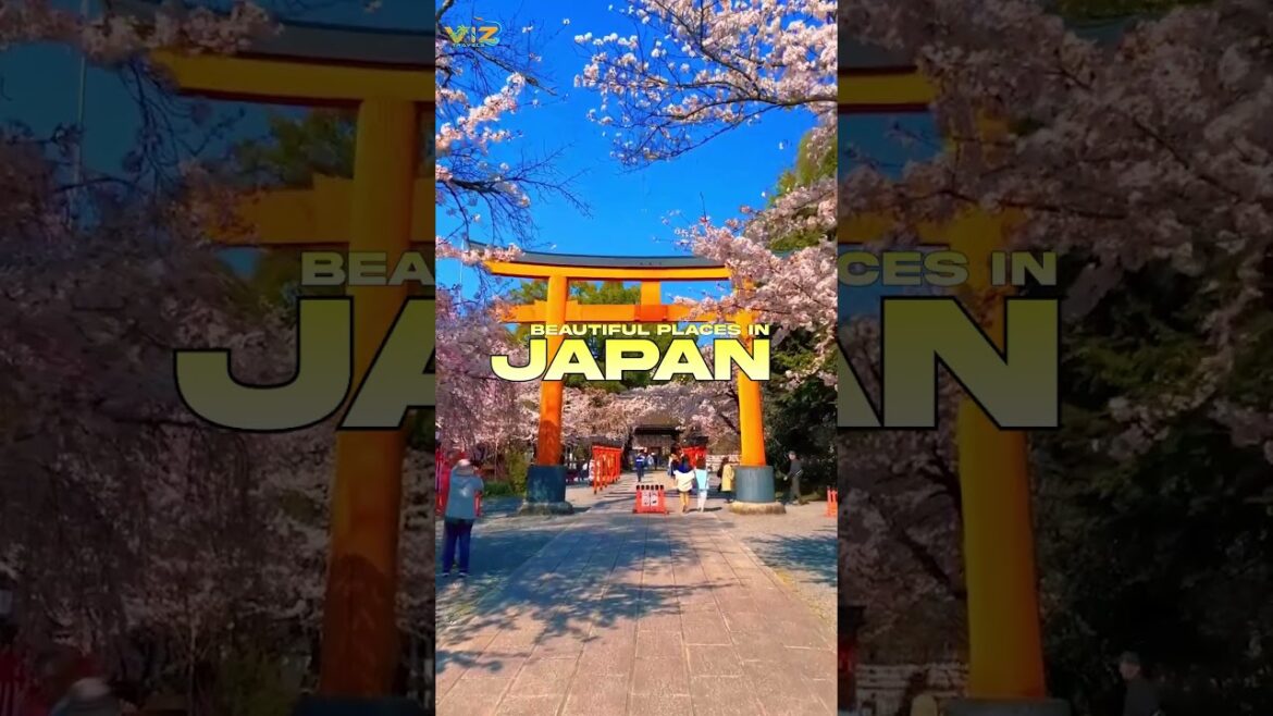 Kyoto, Japan: Exploring the Best Temples and Hidden Gems!#travel #shorts #viztravels #japan Kyoto, Japan: Exploring the Best Temples and Hidden Gems!#travel #shorts #viztravels #japan