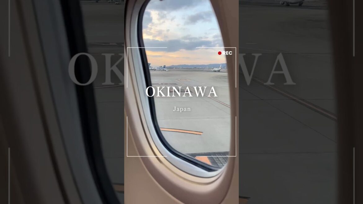 沖縄Trip  :乗り継ぎ時間の合間に観光#沖縄 #ウミカジテラス