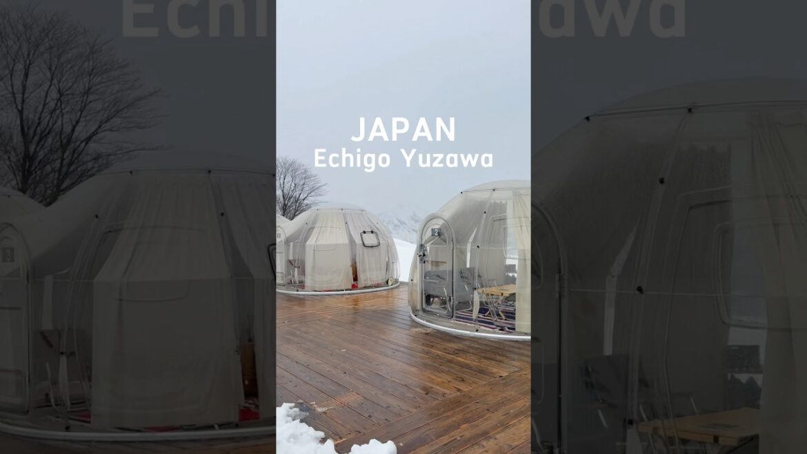 一起在玻璃屋看著雪景喝下午茶吧！