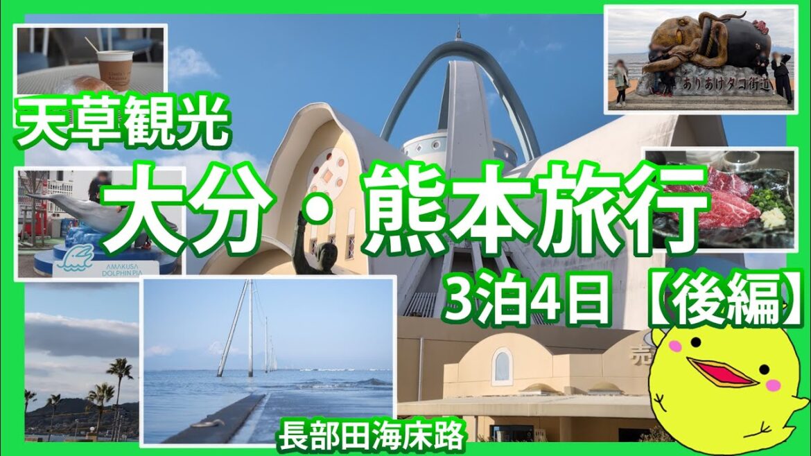 【大分・熊本旅行 後編】天草で極寒のイルカウォッチングしたりおいしいもの食べたり 【大分・熊本旅行 後編】天草で極寒のイルカウォッチングしたりおいしいもの食べたり
