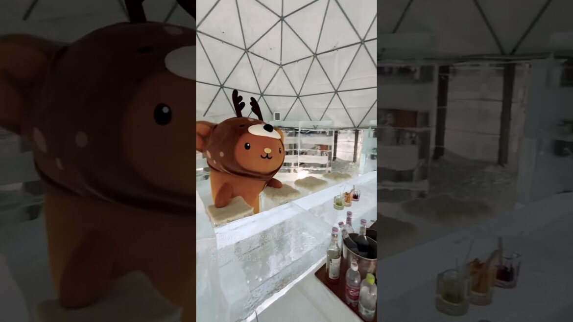 ＼🗾北海道のオススメスポットをご紹介✨／#氷の世界 #冬の絶景 #幻想的な夜#北海道旅行#hokkaidolove#リゾナーレトマム#RisonareTomamu#星野リゾートトマム