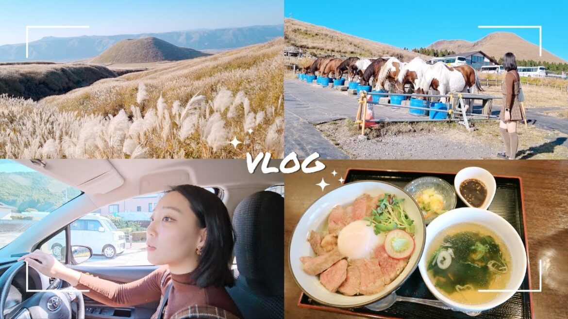 [Damda.Travel] 구마모토 여행을 담다 🇯🇵 | 구마모토 와규 마츠오카 | 아소산 나카타케 화구 | 쿠사센리 | Kumamoto Travel Vlog